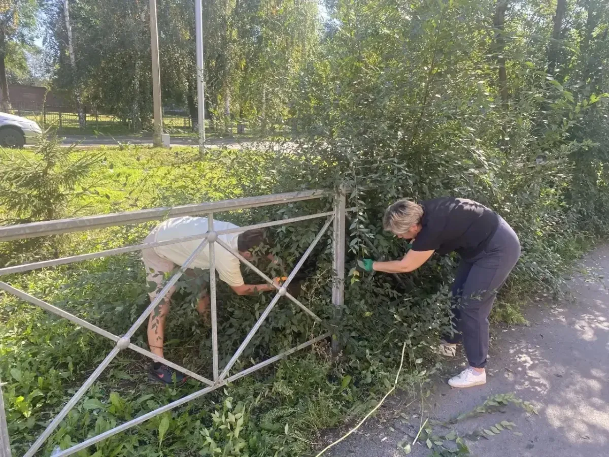 В Ягуновском на Белозерной провели субботник и очистили тротуар от поросли