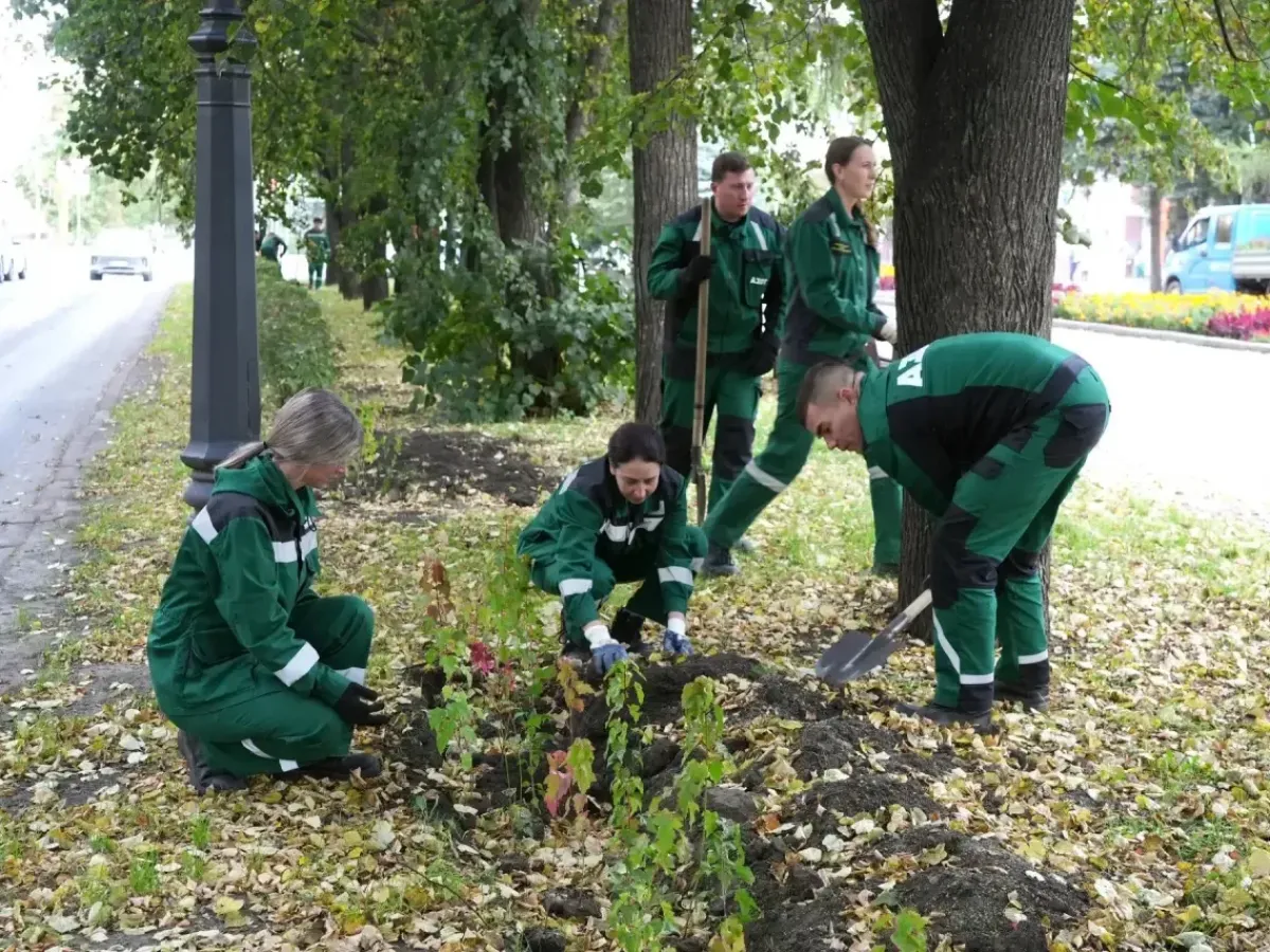 На улице Весенней восстановили живую изгородь