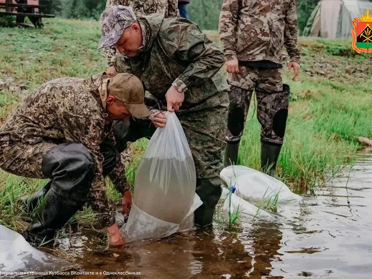 Предприятия Кузбасса выпустили в реки региона мальков ценных видов рыб
