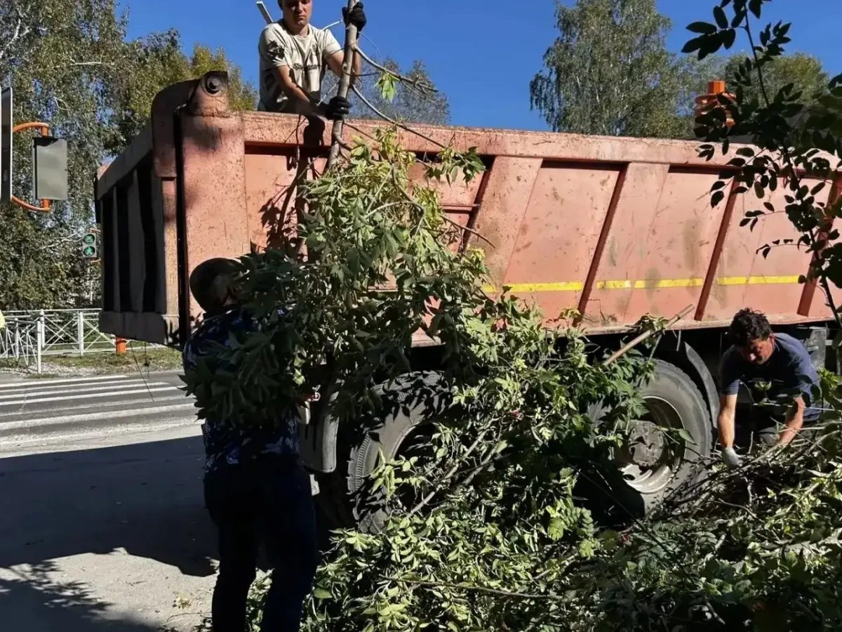 В Ягуновском на Белозерной провели субботник и очистили тротуар от поросли