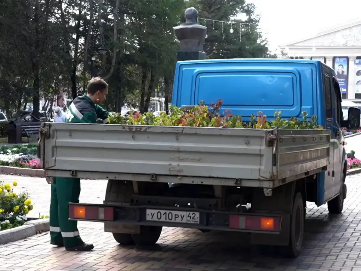 На улице Весенней восстановили живую изгородь