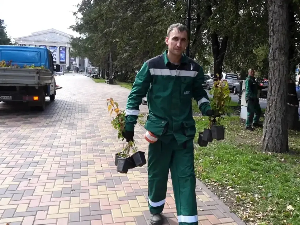 На улице Весенней восстановили живую изгородь