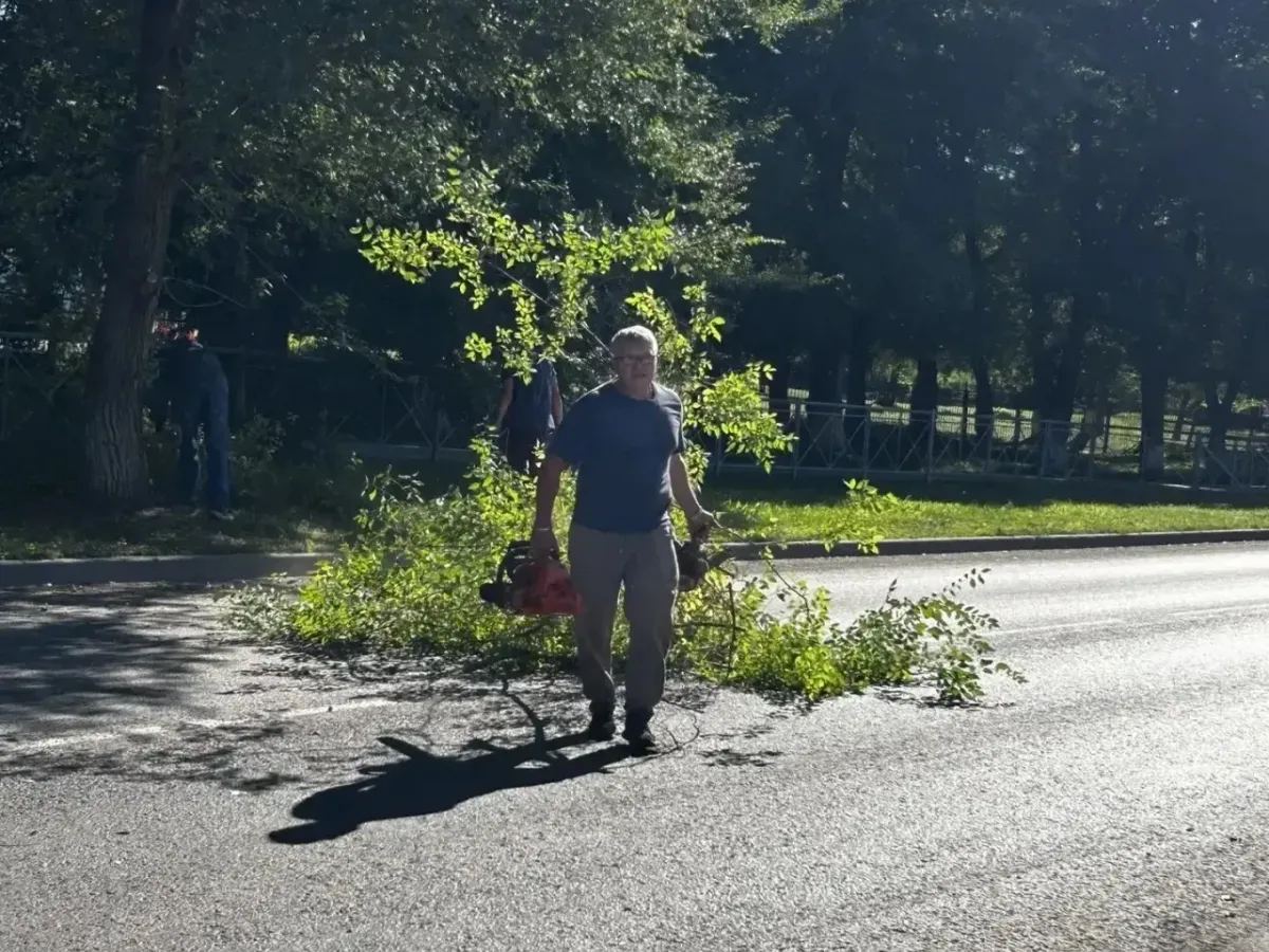 В Ягуновском на Белозерной провели субботник и очистили тротуар от поросли