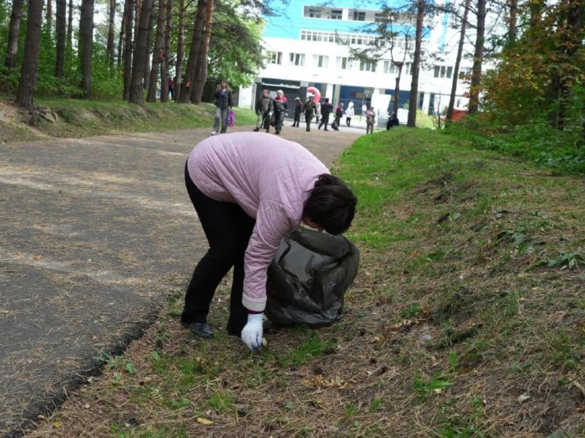 В Рудничном районе навели порядок в сосновом бору у кардиоцентра