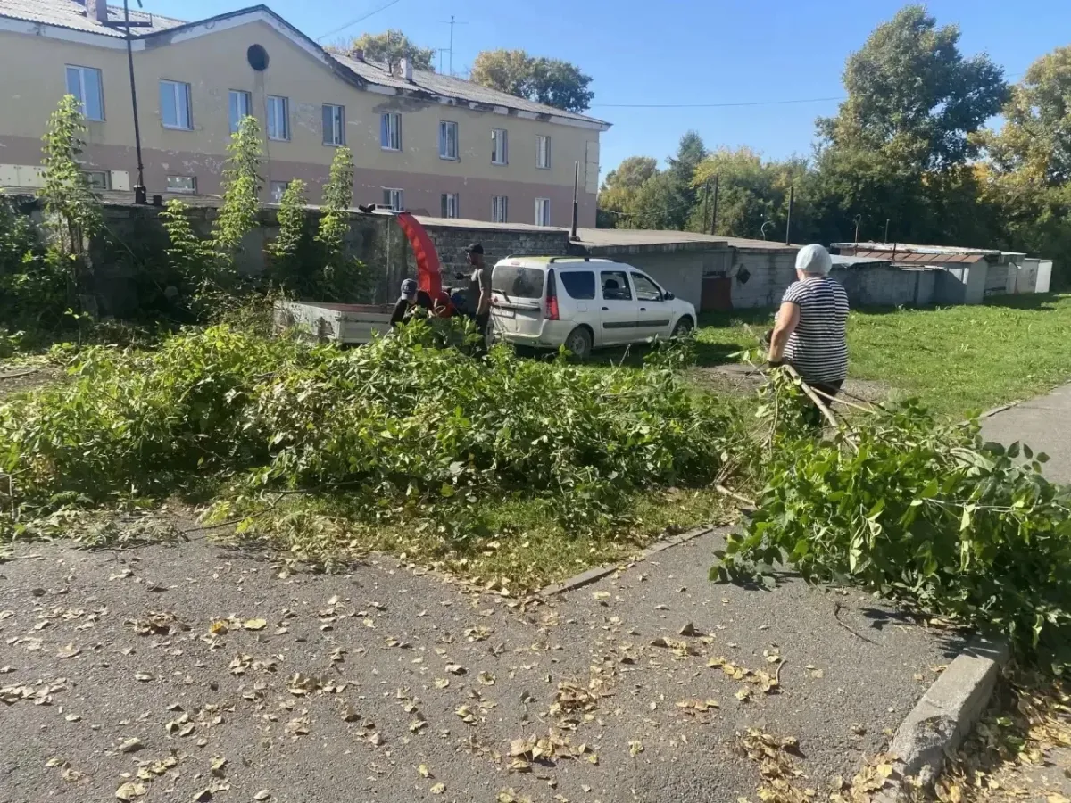 В Ягуновском на Белозерной провели субботник и очистили тротуар от поросли