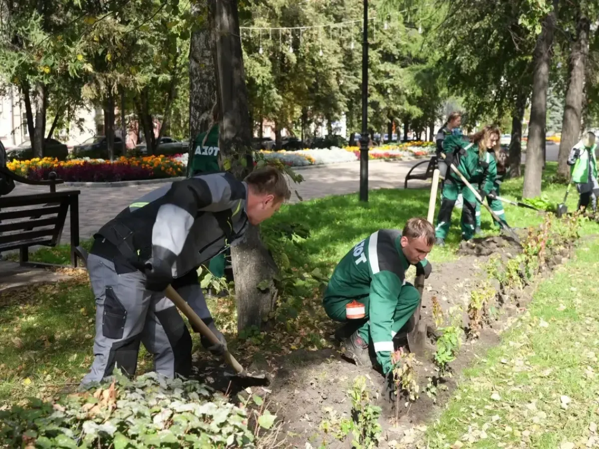 На улице Весенней восстановили живую изгородь
