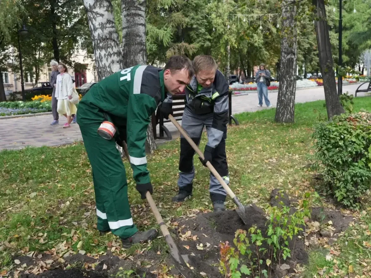 На улице Весенней восстановили живую изгородь