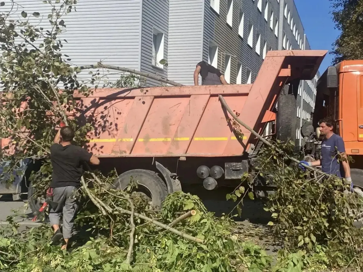 В Ягуновском на Белозерной провели субботник и очистили тротуар от поросли