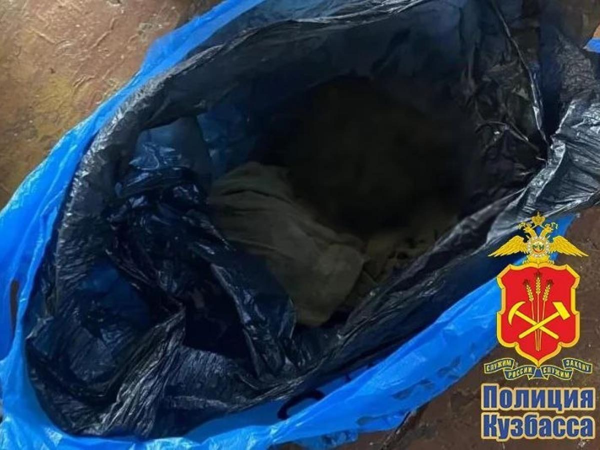 В Топкинском округе задержали мужчину по делу о хранении 8 килограммов марихуаны