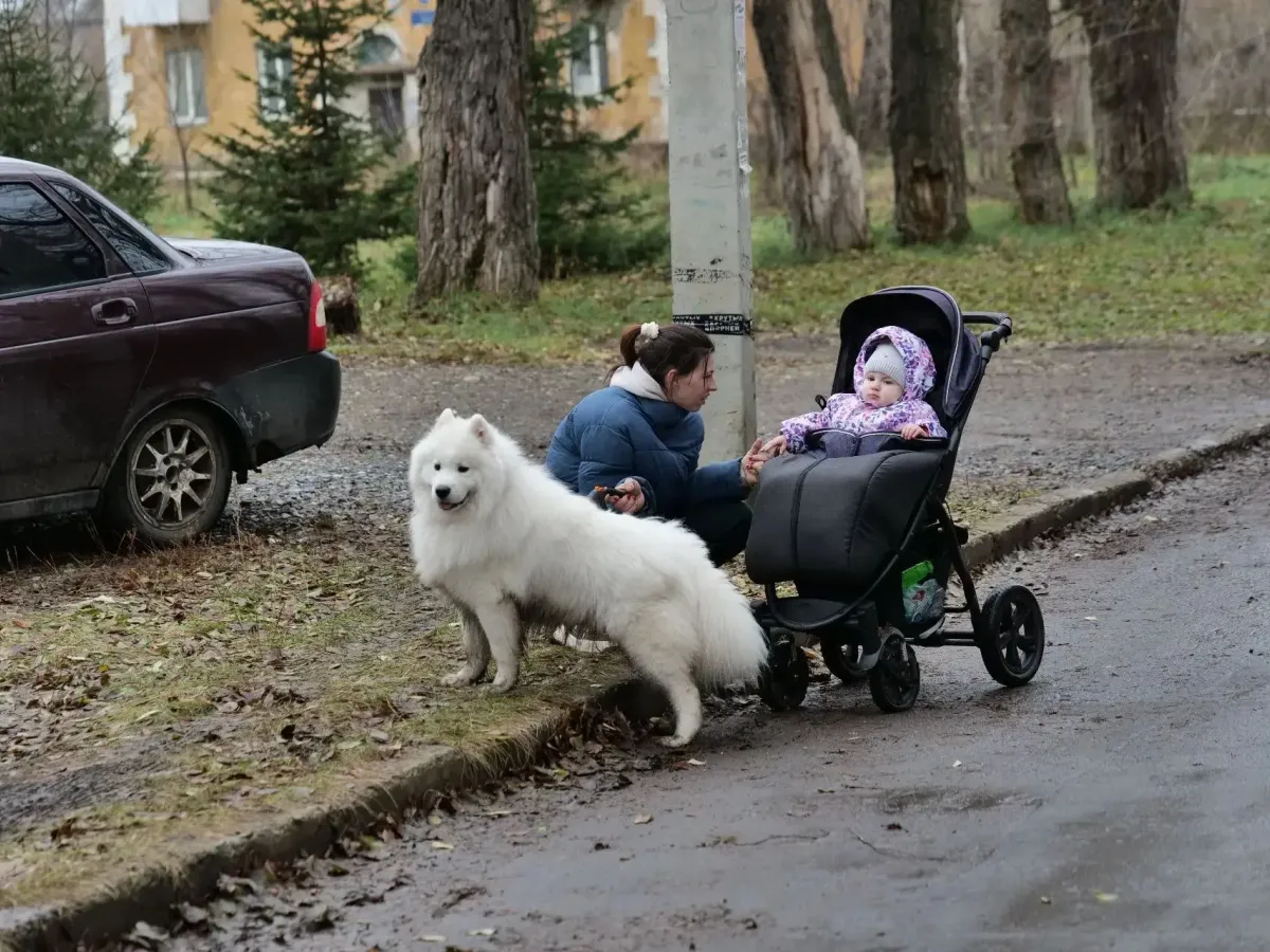 В Предзаводском прошел большой субботник с уборкой зарослей клена