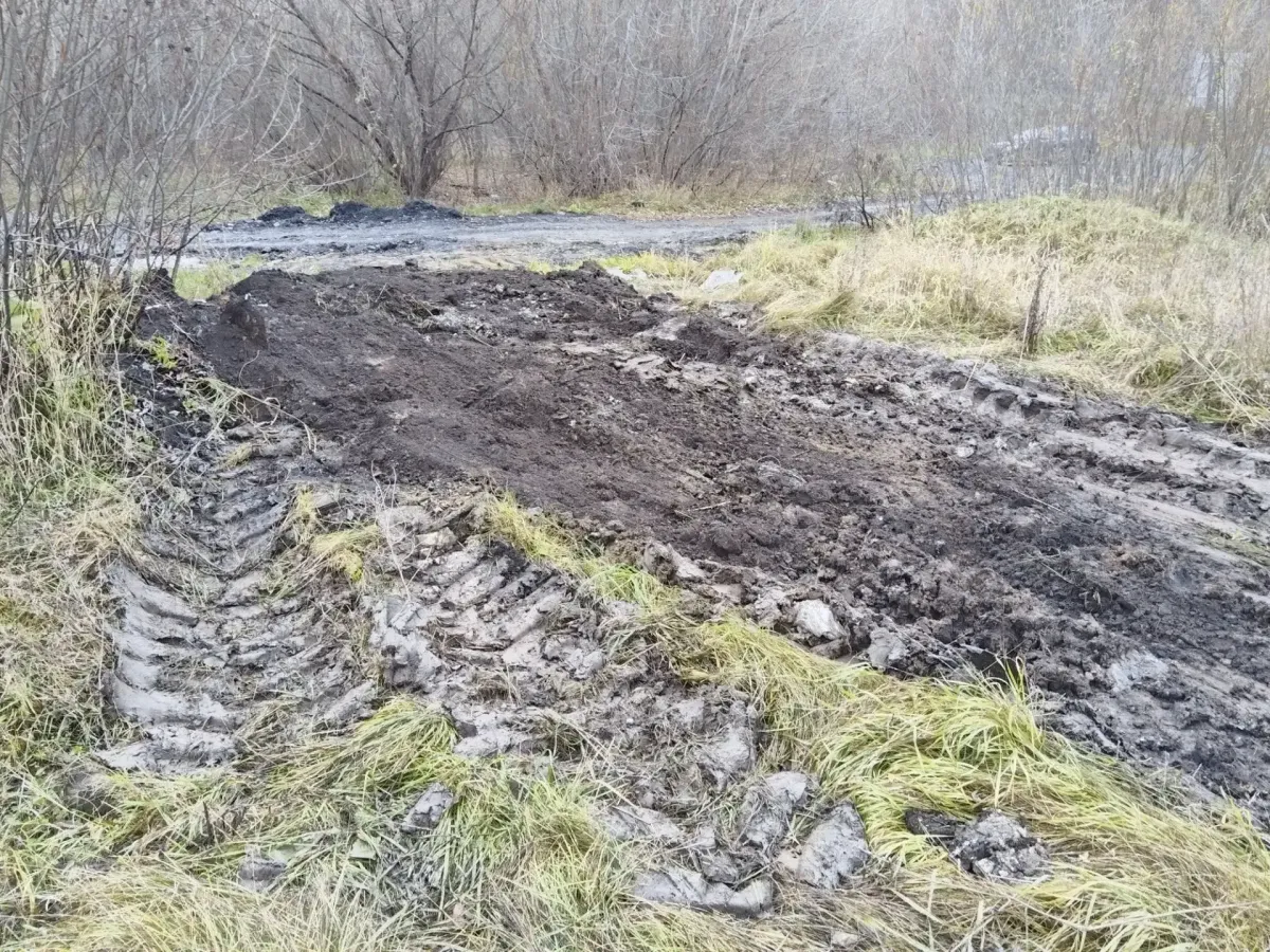 С берега Томи в Кемерове вывезли 28 тонн мусора