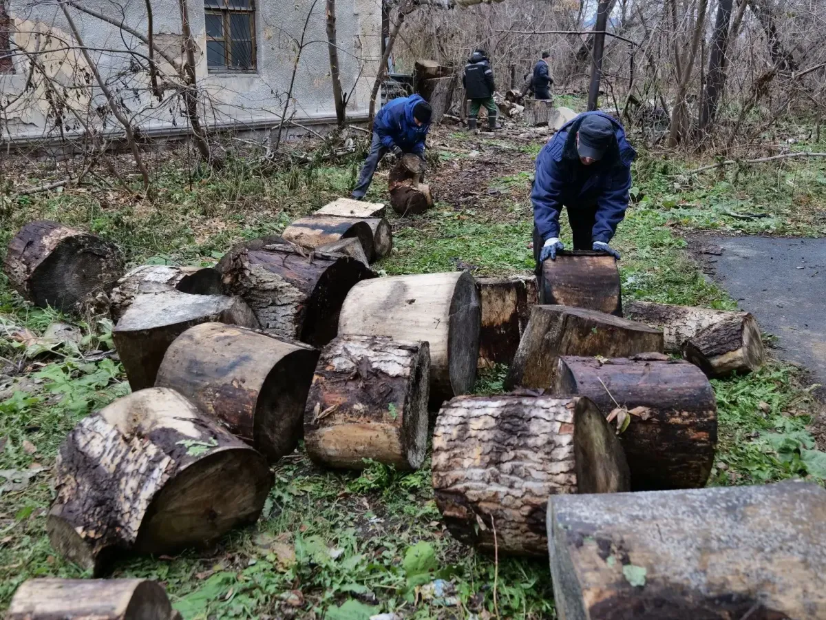 В Предзаводском прошел большой субботник с уборкой зарослей клена