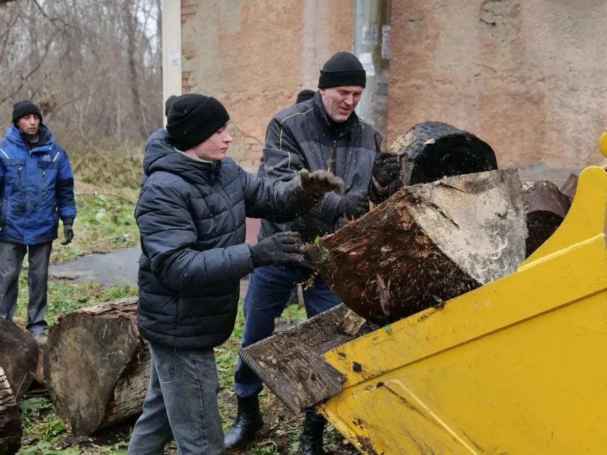 В Предзаводском прошел большой субботник с уборкой зарослей клена