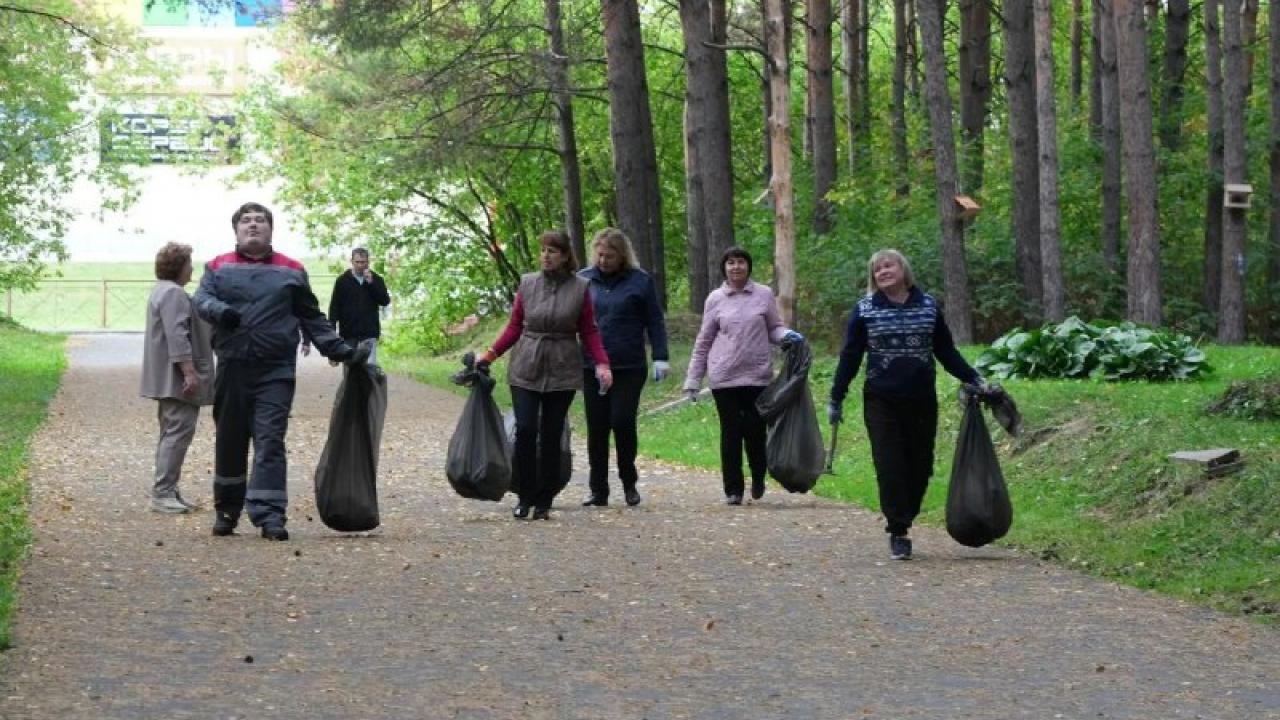 В Рудничном районе навели порядок в сосновом бору у кардиоцентра — Кемерово Сейчас