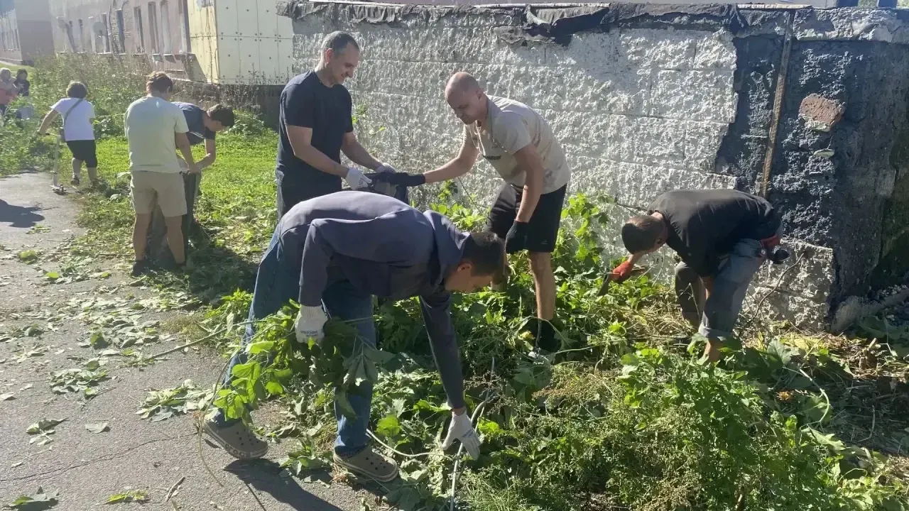 В Ягуновском на Белозерной провели субботник и очистили тротуар от поросли — Кемерово Сейчас