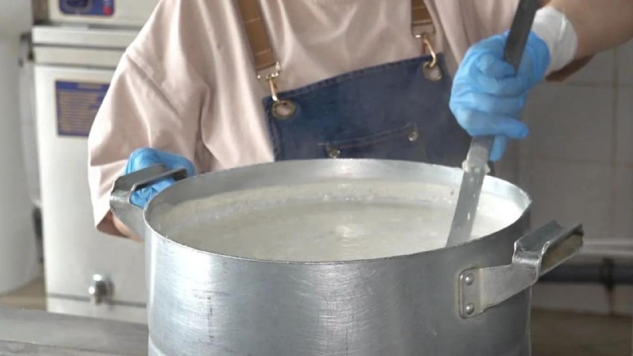 В Кузбассе увеличили закупки продуктов у местных сельхозпроизводителей — Кемерово Сейчас