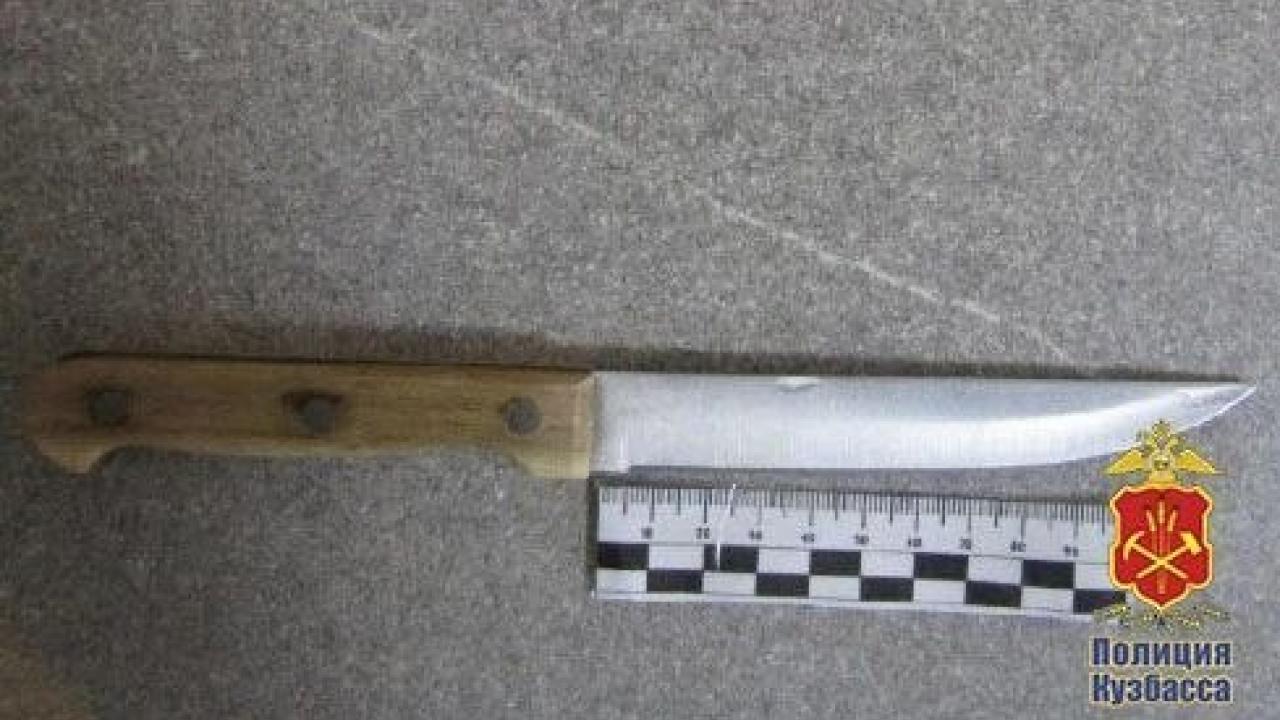 В Кемерове задержали подозреваемую в нанесении ножевого ранения знакомому — Кемерово Сейчас