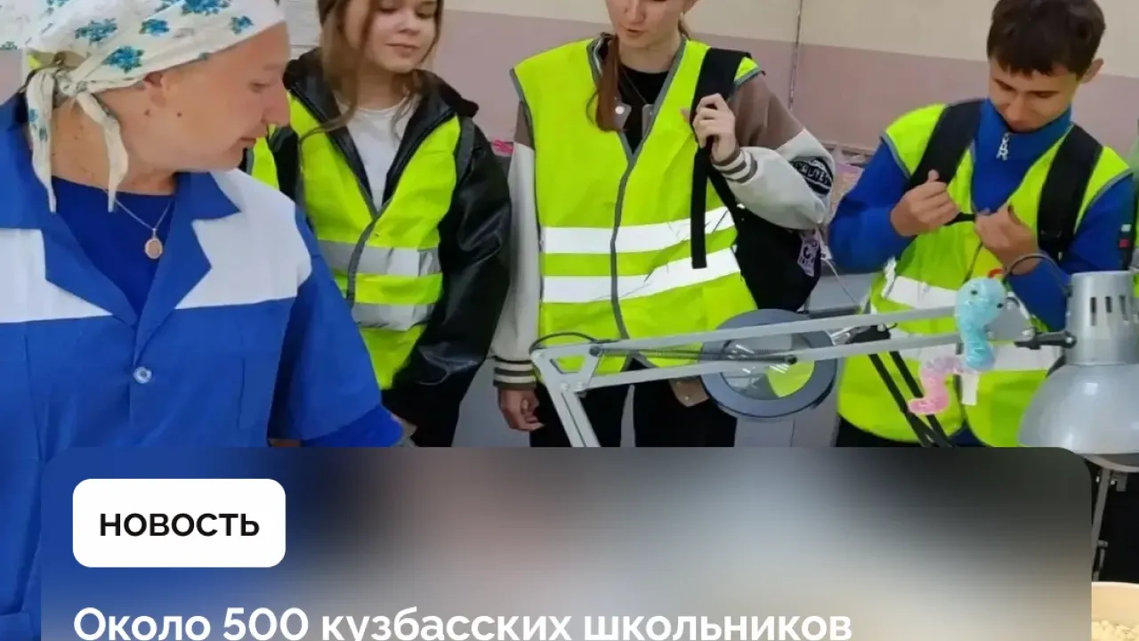 Около 500 кузбасских школьников и студентов посетили профтуры Кадрового центра — Кемерово Сейчас