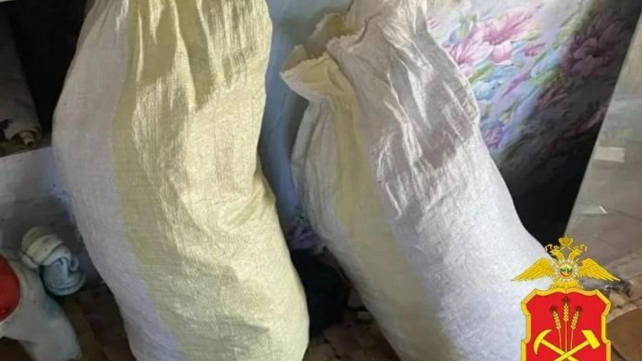 В Топкинском округе задержали мужчину по делу о хранении 8 килограммов марихуаны — Кемерово Сейчас