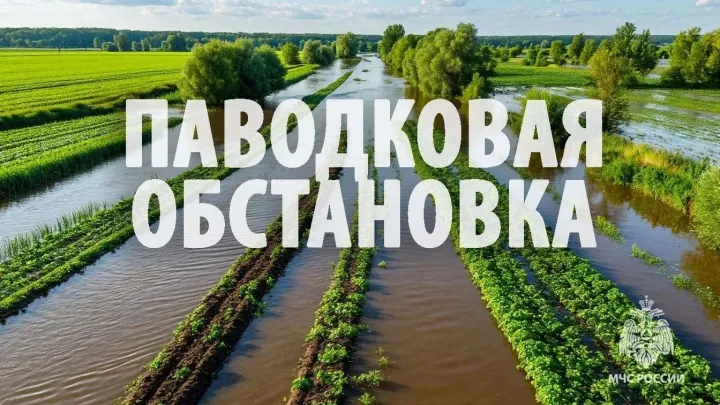 В Хабаровском крае под контролем МЧС остаются подтопления в 30 населённых пунктах — Хабаровск Сейчас