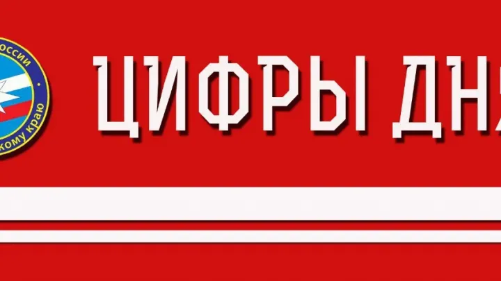 В регионе за сутки не произошло ЧС, пожарные ликвидировали несколько возгораний — Хабаровск Сейчас