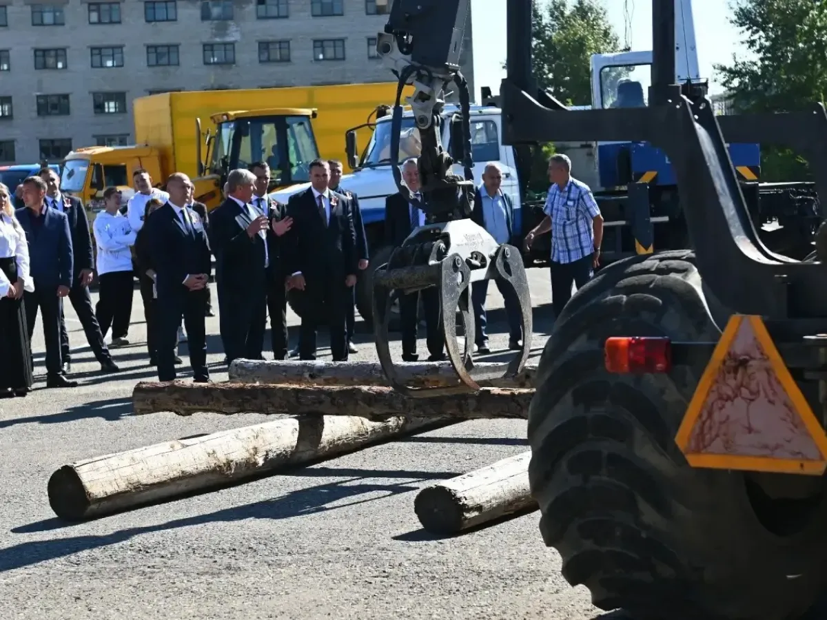 В Хабаровском крае в 2027 году создадут лесопромышленный класте?