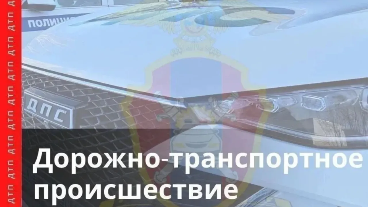 В Нанайском районе в ДТП на трассе А-375 погибли три человека — Хабаровск Сейчас