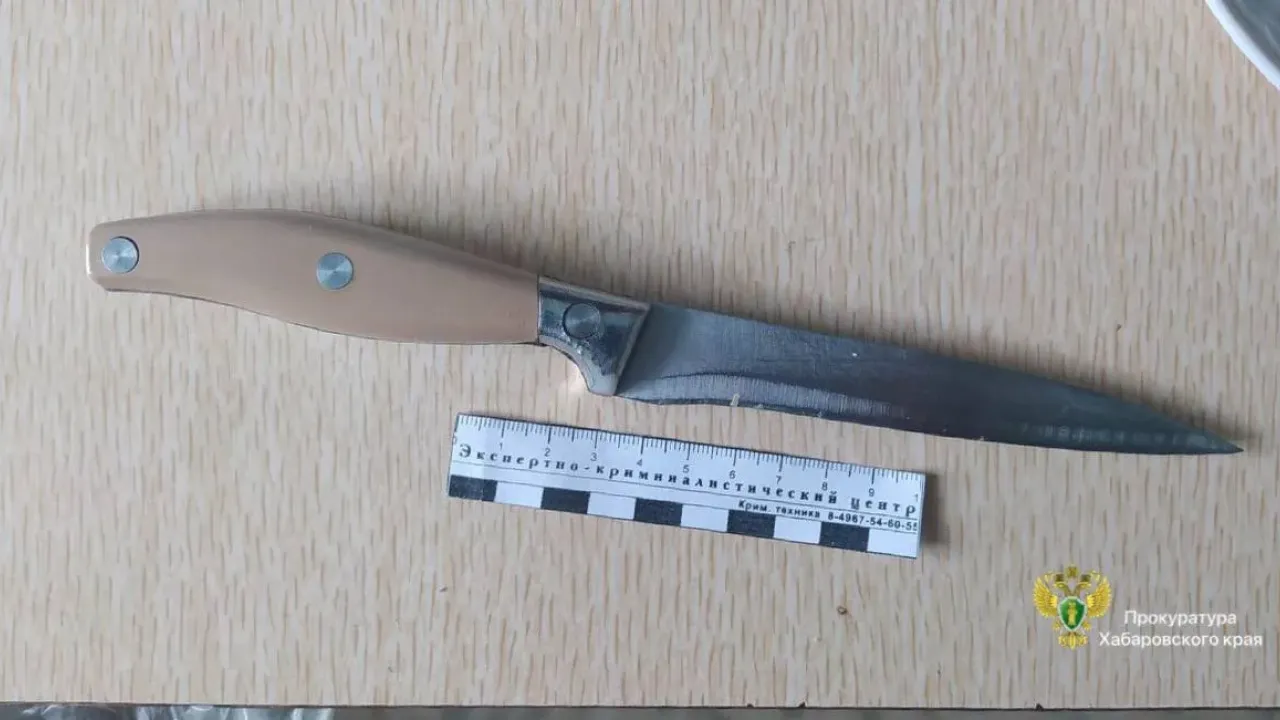 Жительницу села Ракитное будут судить по делу об убийстве мужчины — Хабаровск Сейчас