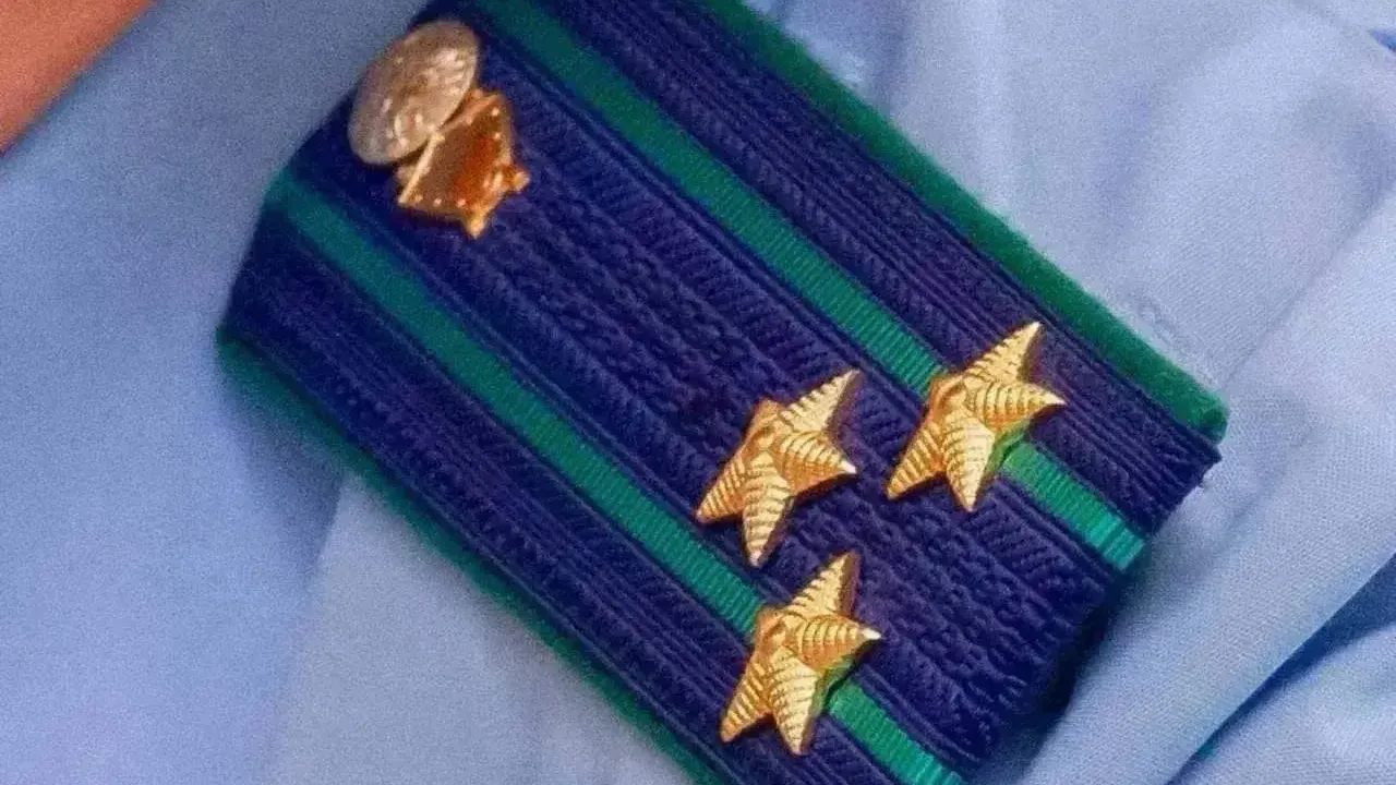 С администрации Хабаровска взыскали 50 тысяч рублей за нападение безнадзорной собаки на ребенка — Хабаровск Сейчас