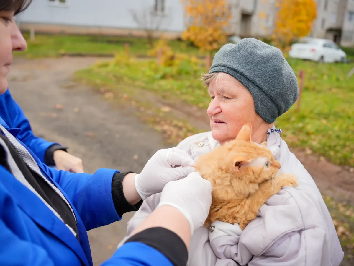 В области продолжается выездная вакцинация домашних и сельхозживотных от бешенства