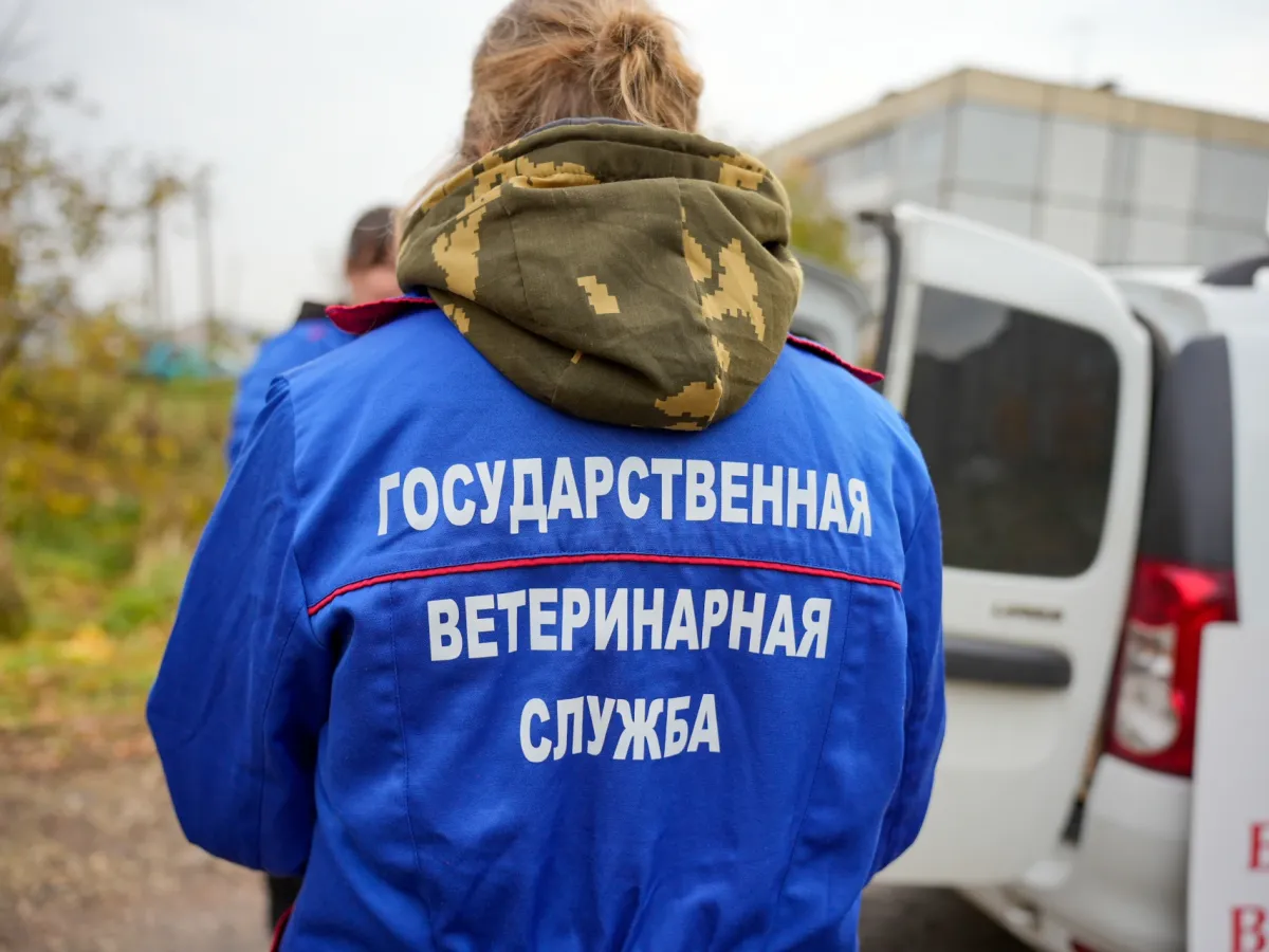 В области продолжается выездная вакцинация домашних и сельхозживотных от бешенства