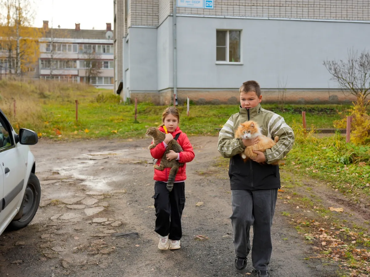 В области продолжается выездная вакцинация домашних и сельхозживотных от бешенства