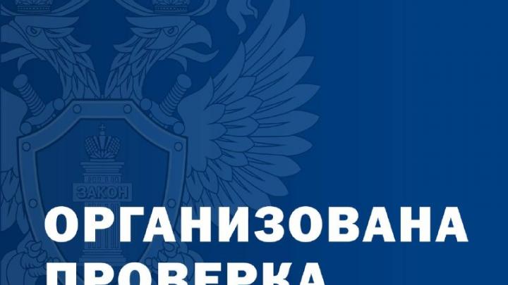 В Каневском районе прокуратура начала проверку после отравления детей в школе — Краснодар Сейчас