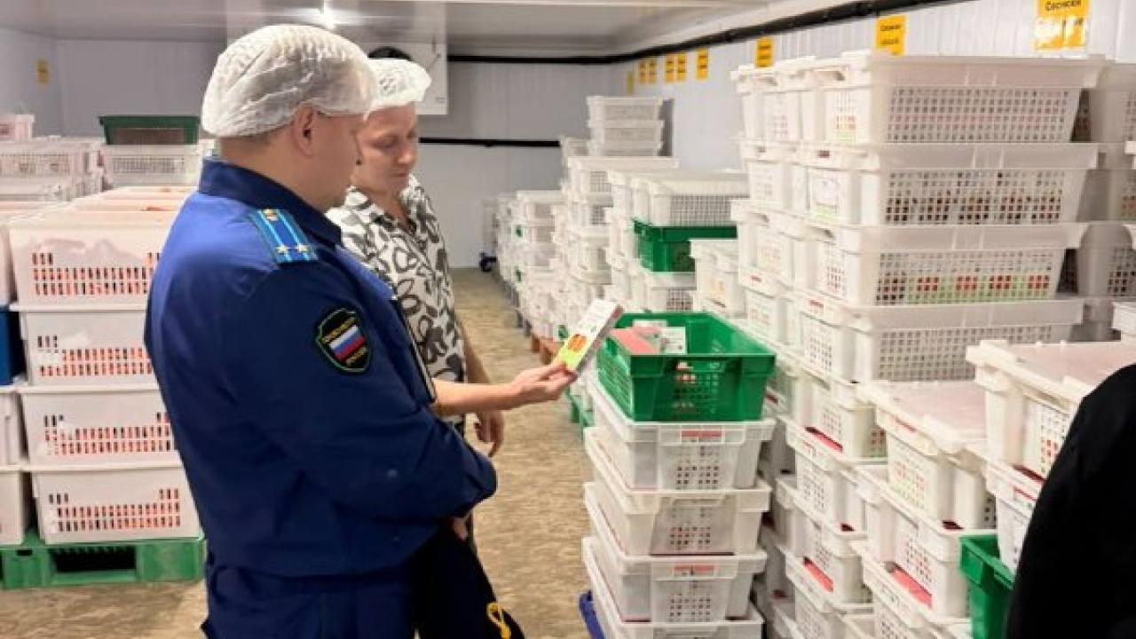 Прокурор Северского района посетил с рабочим визитом два пищевых предприятия — Краснодар Сейчас