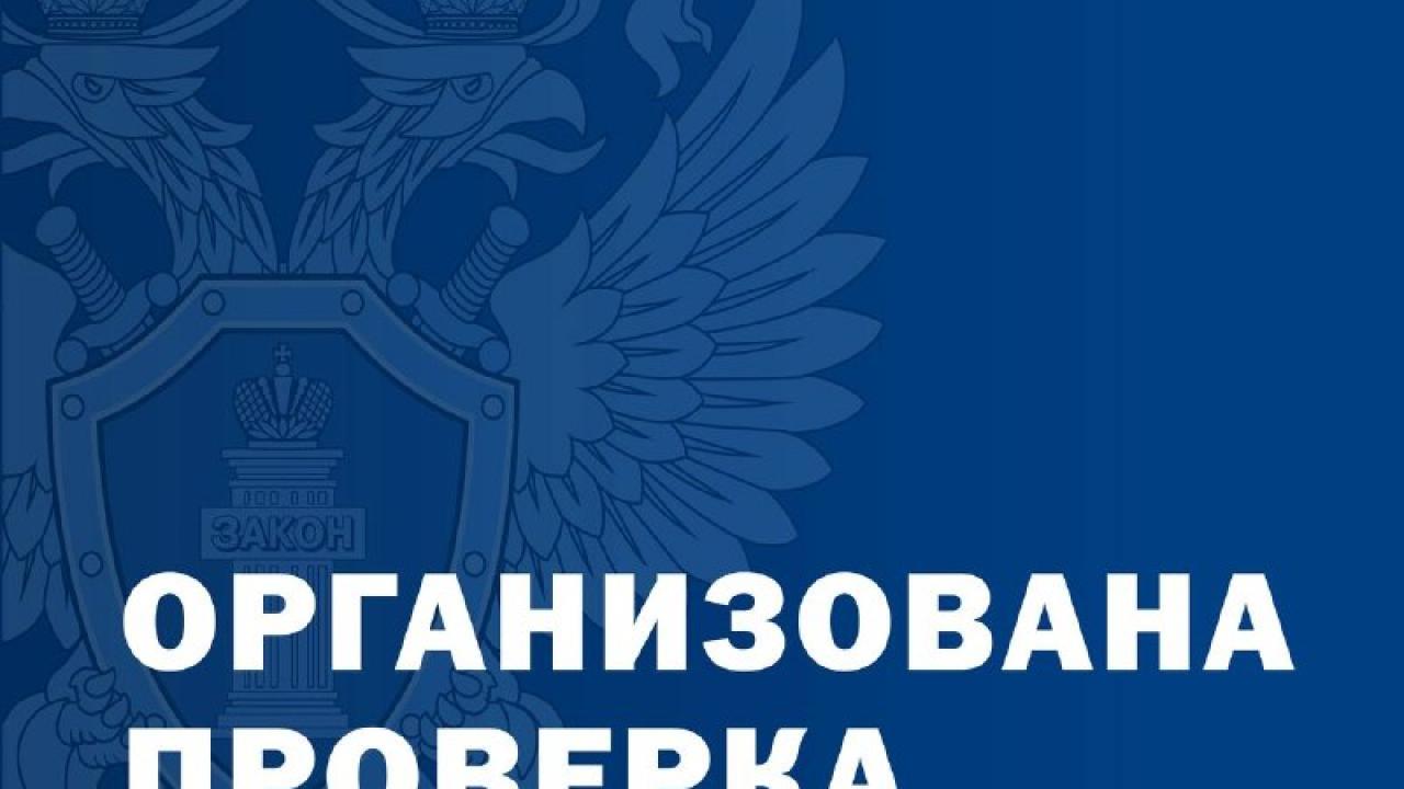 Прокуратура начала проверку после публикации о правах работников Гулькевичской больницы — Краснодар Сейчас