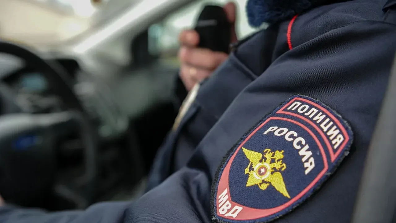 В Заволжье полиция проверяет обстоятельства травмирования собаки — Нижний Новгород Сейчас