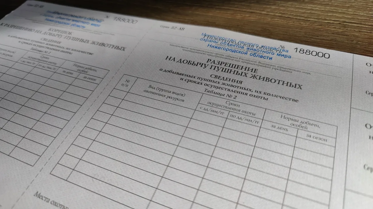 С 1 ноября в регионе откроется сезон охоты на отдельные виды пушных животных — Нижний Новгород Сейчас