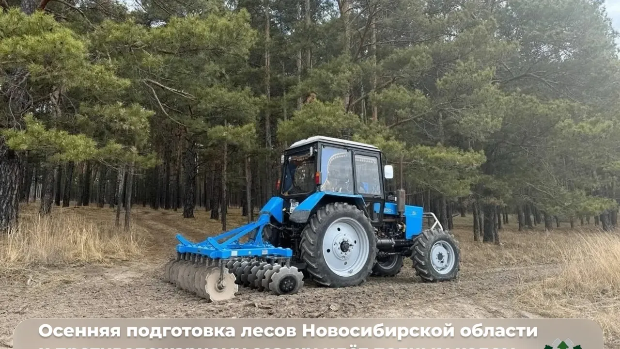 В Новосибирской области готовят леса к следующему пожароопасному сезону — Новосибирск Сейчас