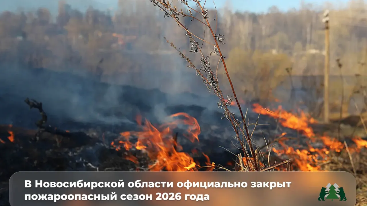 В Новосибирской области завершён пожароопасный сезон 2026 года — Новосибирск Сейчас