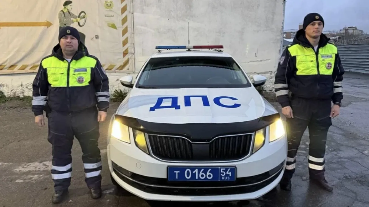 Автоинспекторы экстренно доставили в больницу двухлетнего ребёнка с травмой головы — Новосибирск Сейчас