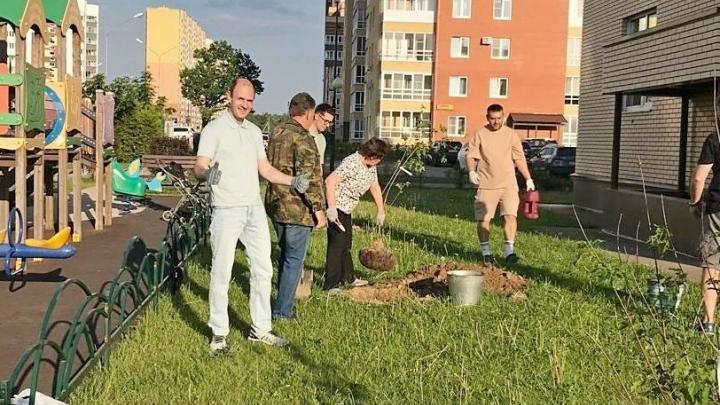 "1000 деревьев Обнинску": ТОС озеленяют город — Настоящий Обнинск
