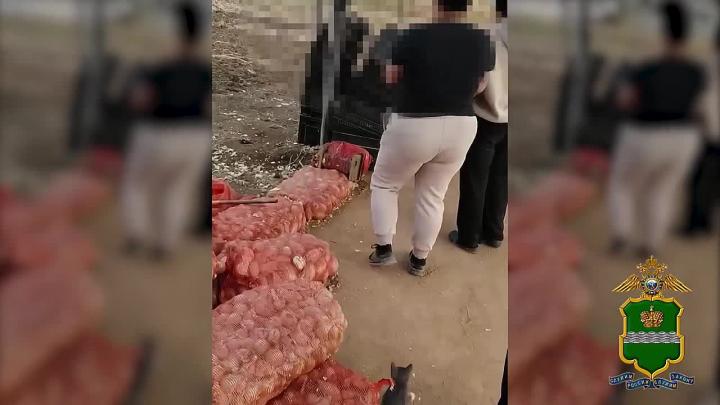 В Калужской области после рейда выявили 28 нарушений миграционного законодательства — Настоящий Обнинск