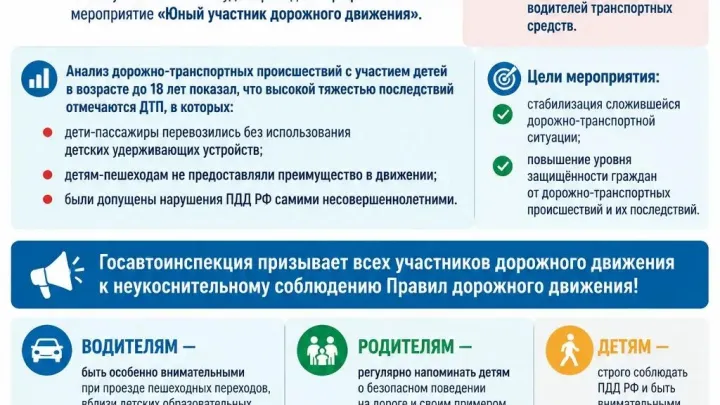 В Калужской области пройдёт профилактическое мероприятие «Юный участник дорожного движения» — Настоящий Обнинск
