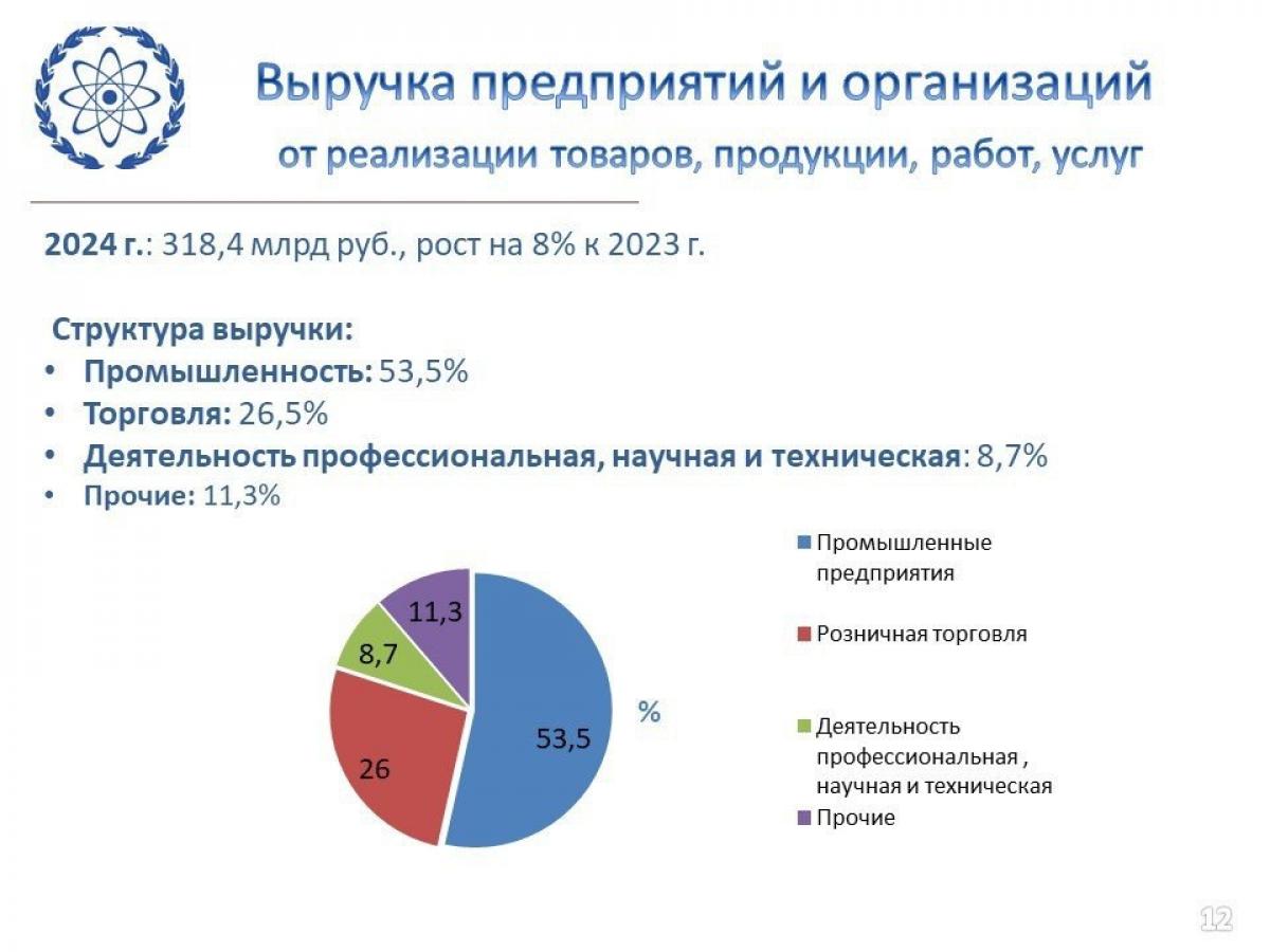 Публичные слушания по проекту бюджета Обнинска на 2025 год: ориентир на развитие — Настоящий Обнинск