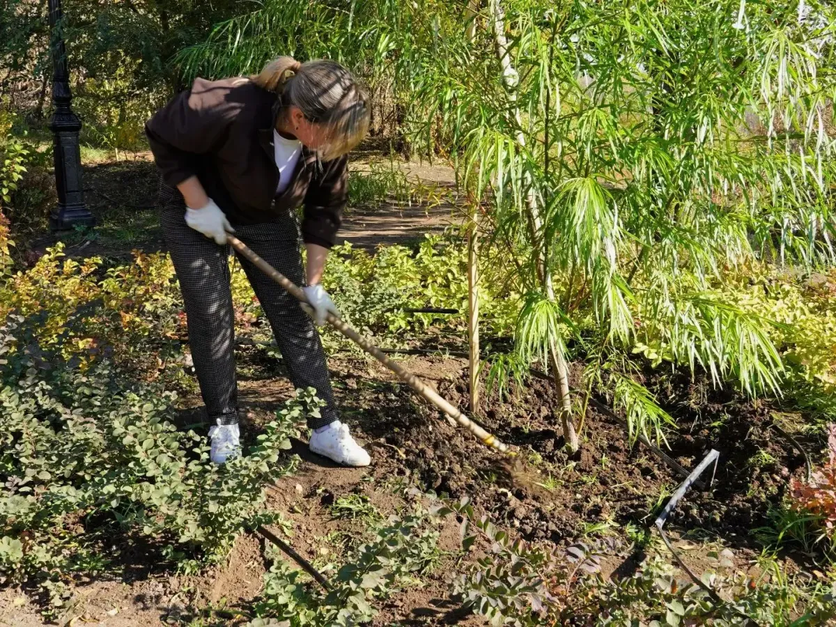 В Оренбурге прошел общегородской субботник в парке «Березка» и на Елизаветинском спуске