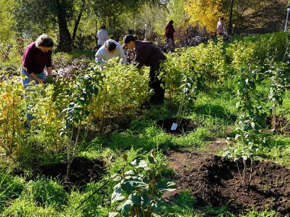 В Оренбурге прошел общегородской субботник в парке «Березка» и на Елизаветинском спуске