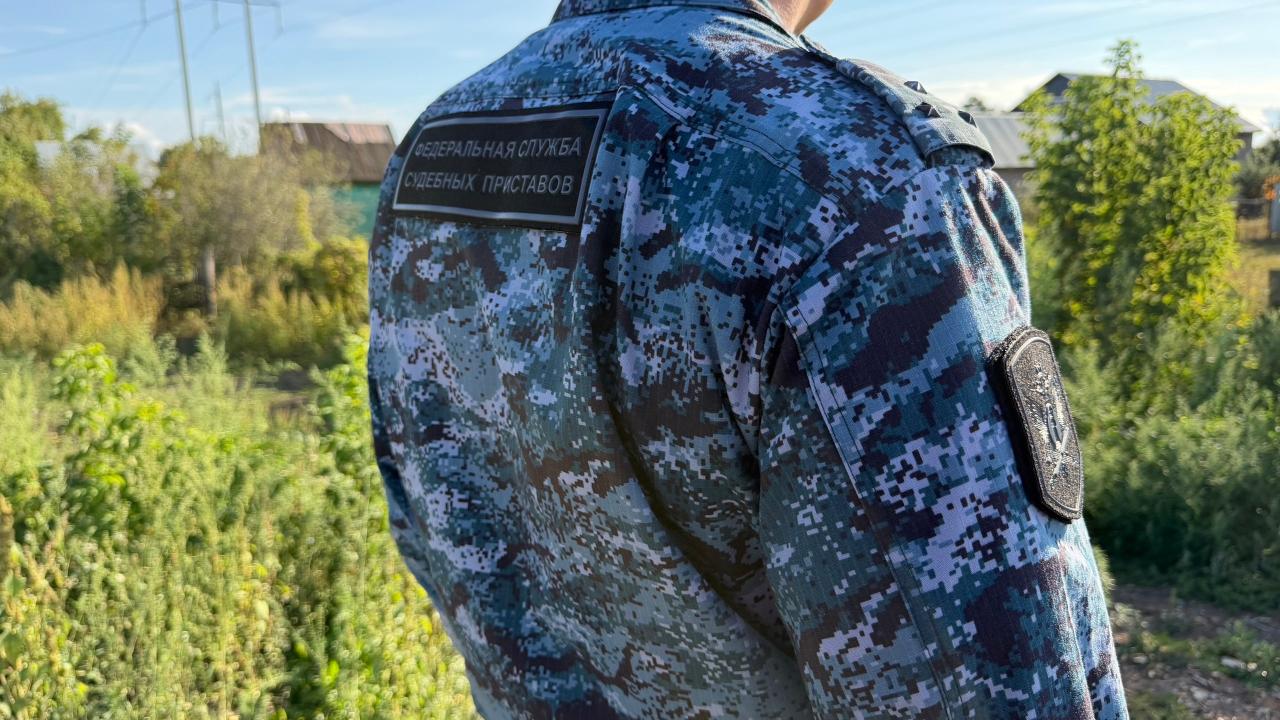 В Оренбурге должника по алиментам нашли в лесу и назначили обязательные работы — Оренбург Сейчас