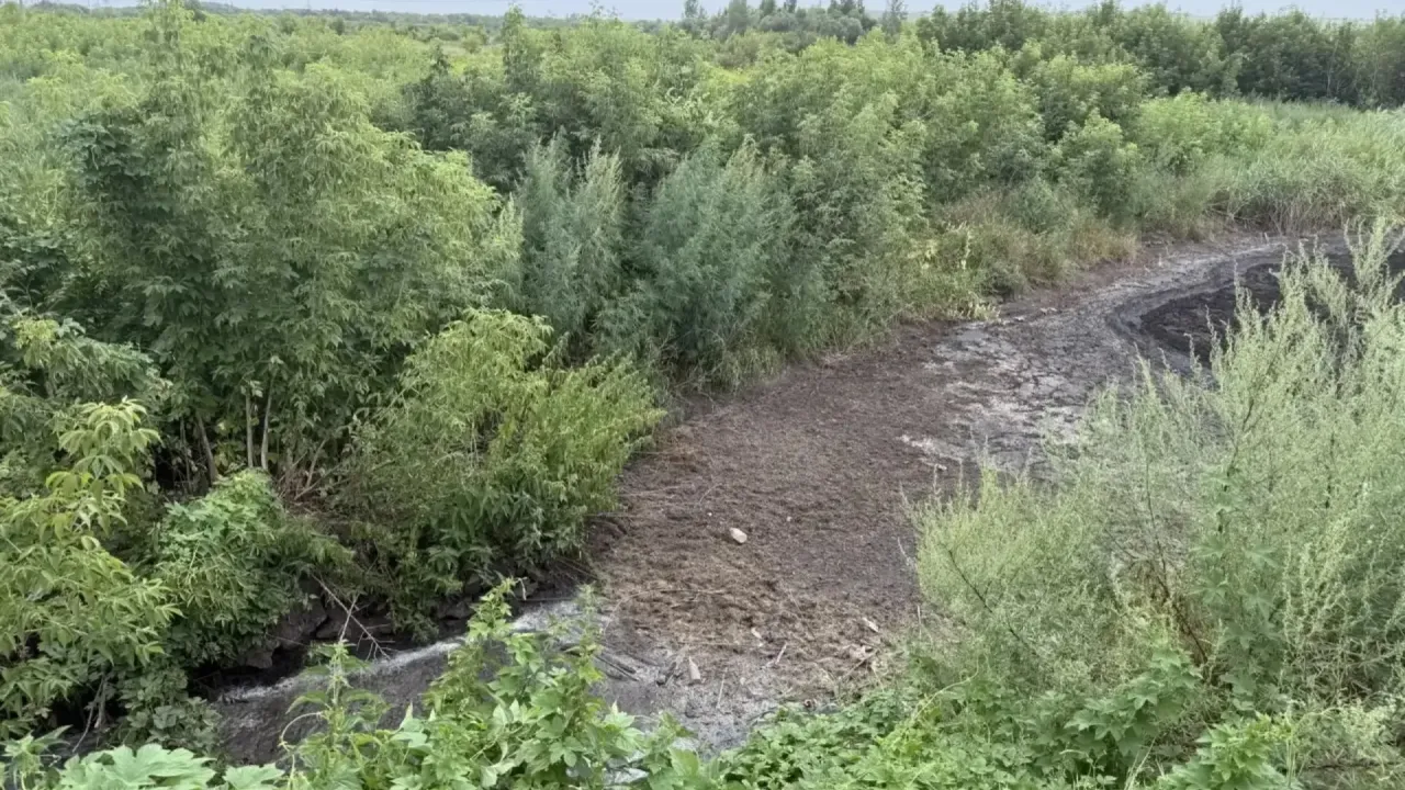 С предприятия взыскали свыше 14 млн рублей за вред почве в Бугуруслане — Оренбург Сейчас