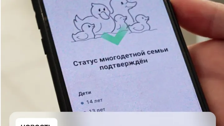 В Пензенской области льготы можно подтверждать через мессенджер МАХ — Пенза Сейчас