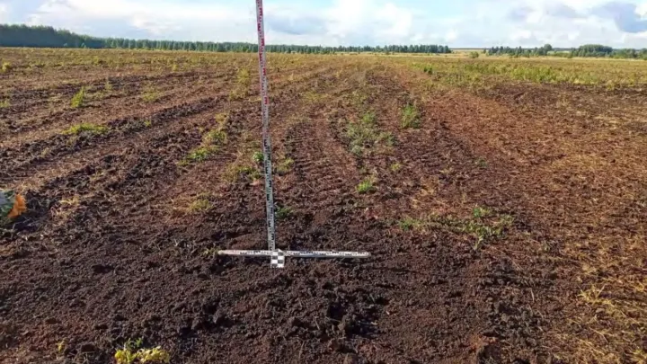 В Мокшанском районе не выявили объектов археологического наследия — Пенза Сейчас